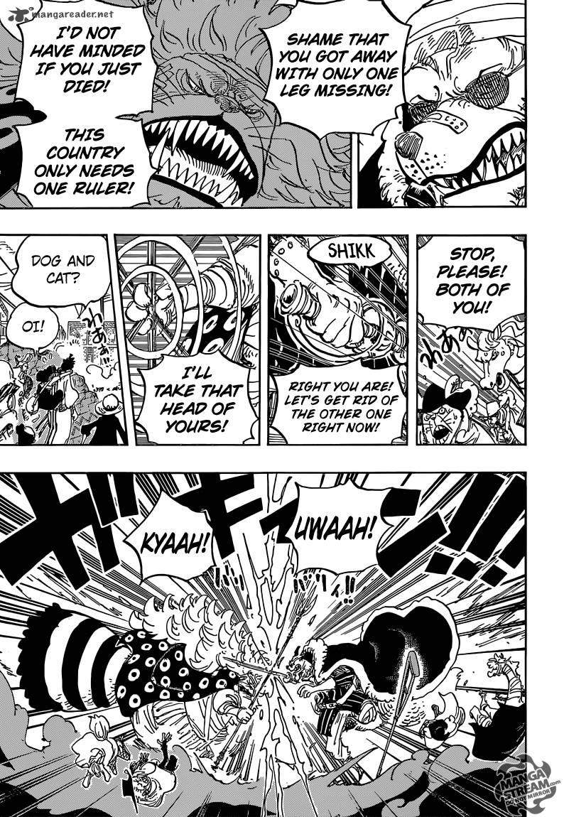 One Piece Chapter 816 — page 13