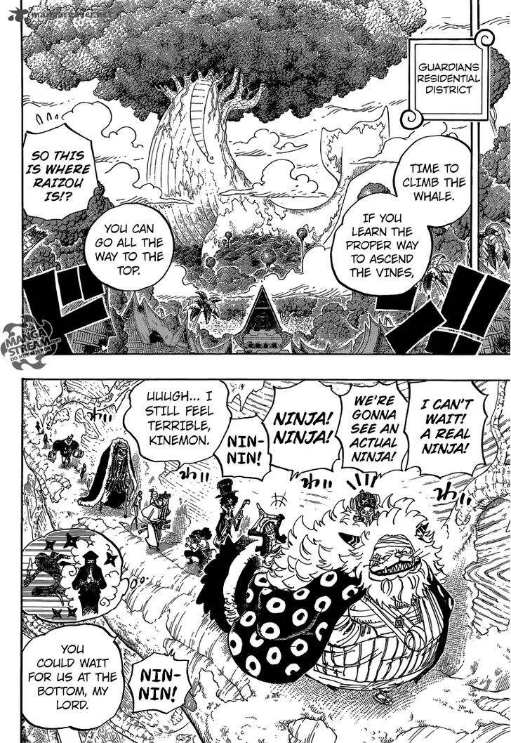 One Piece Chapter 817 — page 12