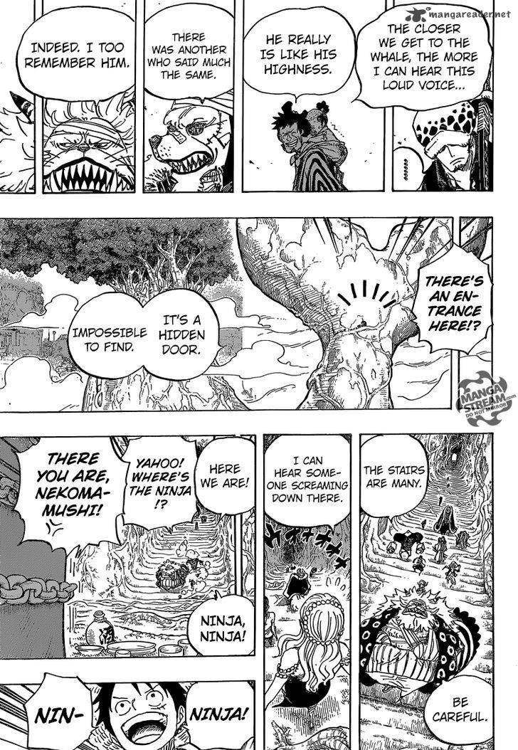 One Piece Chapter 817 — page 13