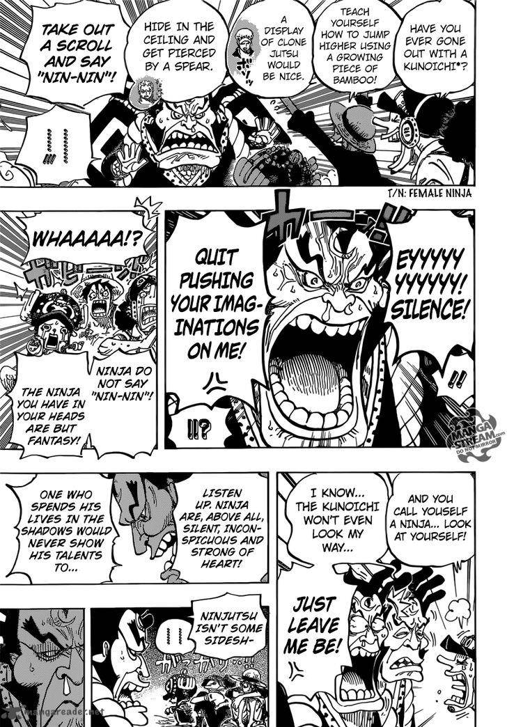 One Piece Chapter 817 — page 17