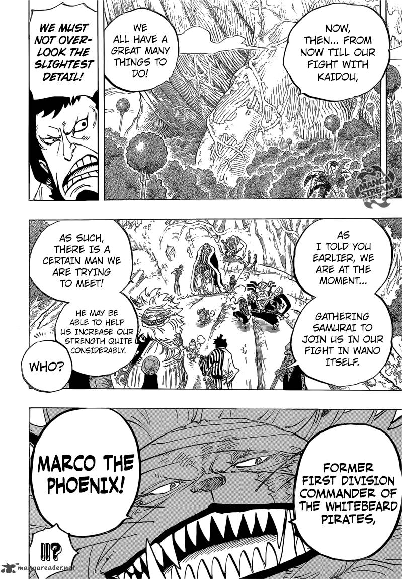 One Piece Chapter 820 — page 12