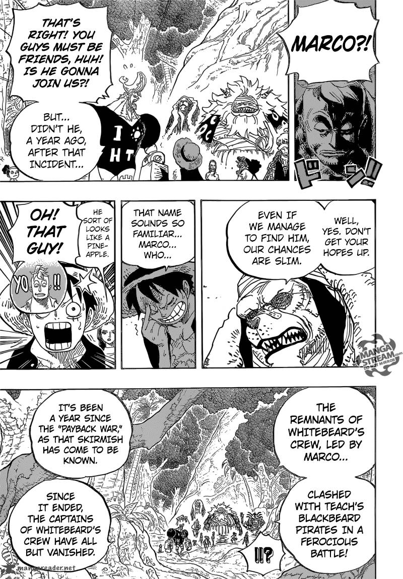 One Piece Chapter 820 — page 13