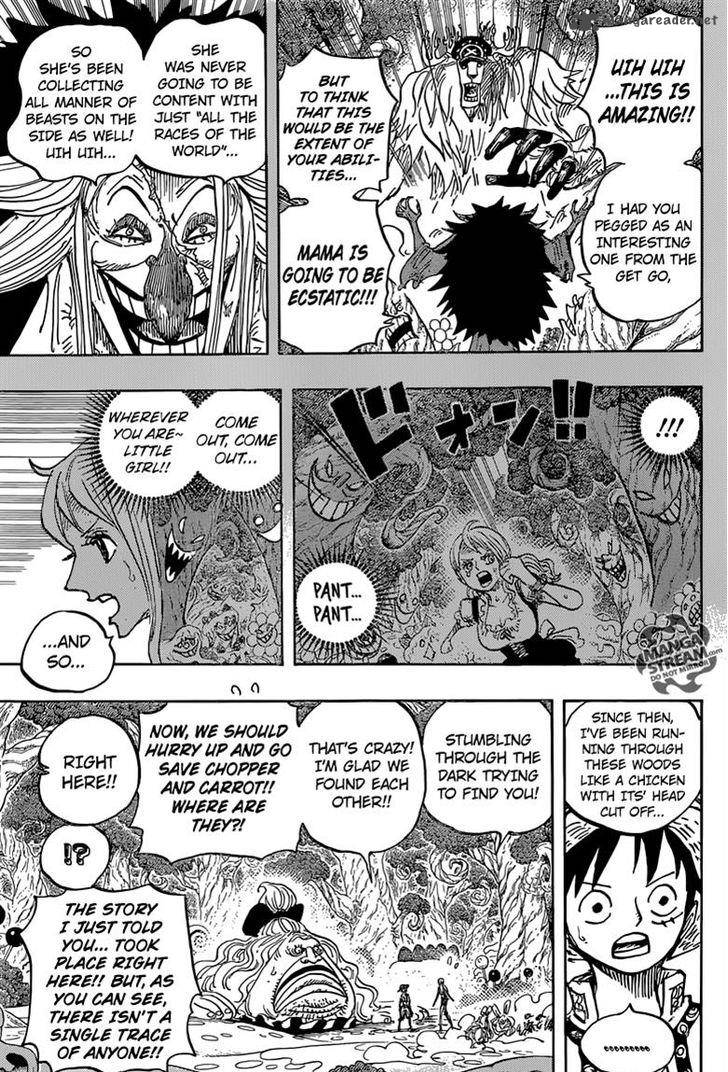One Piece Chapter 835 — page 15