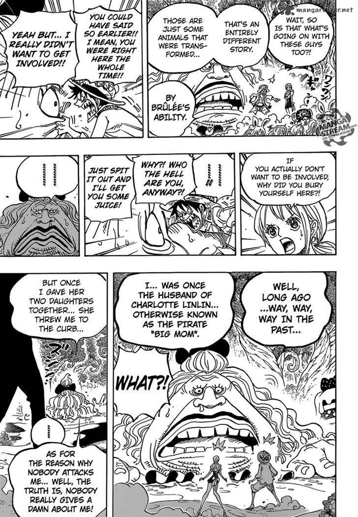One Piece Chapter 835 — page 19