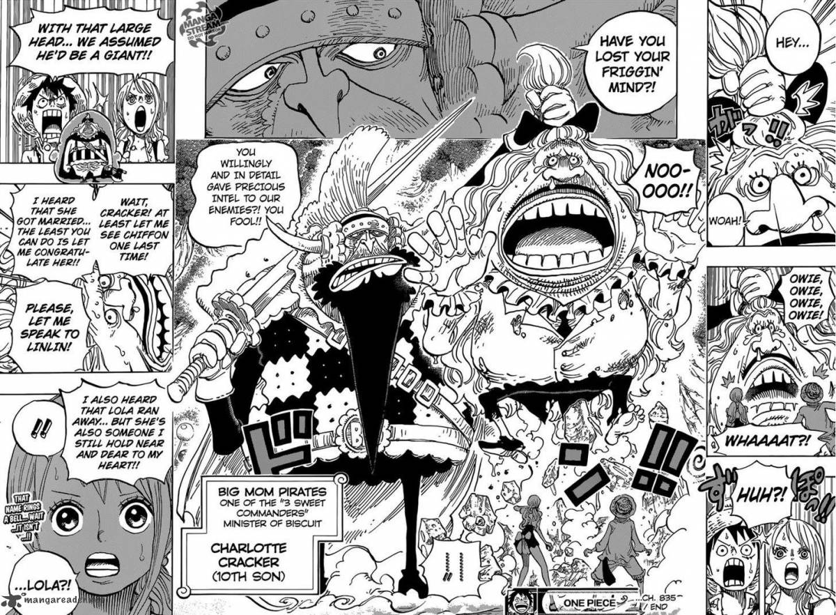 One Piece Chapter 835 — page 20