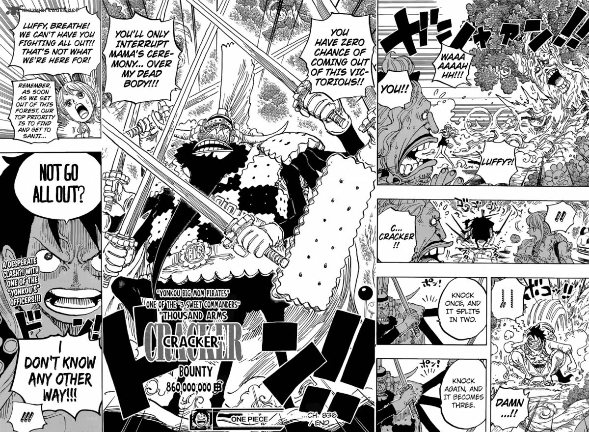One Piece Chapter 836 — page 14