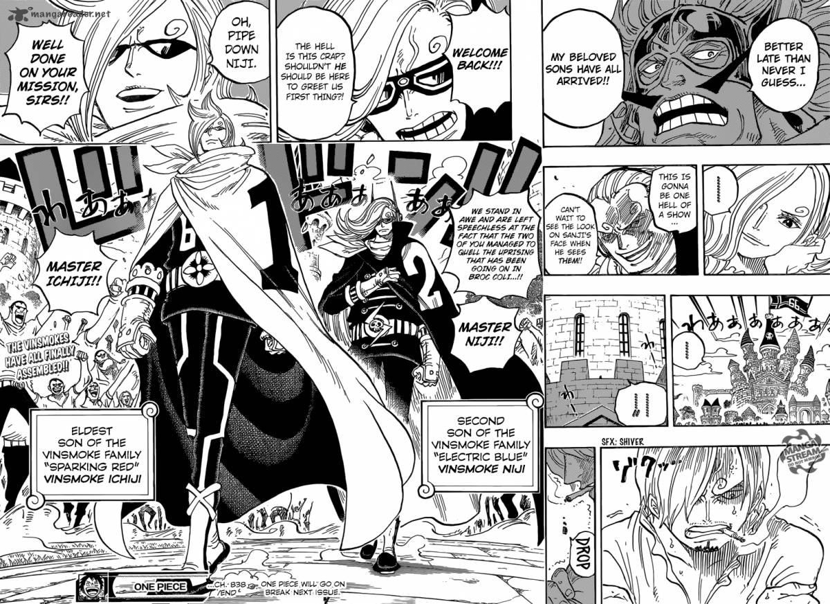 One Piece Chapter 838 — page 14