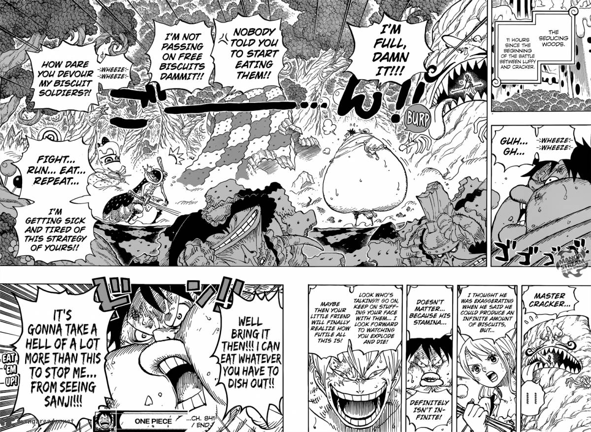 One Piece Chapter 841 — page 17