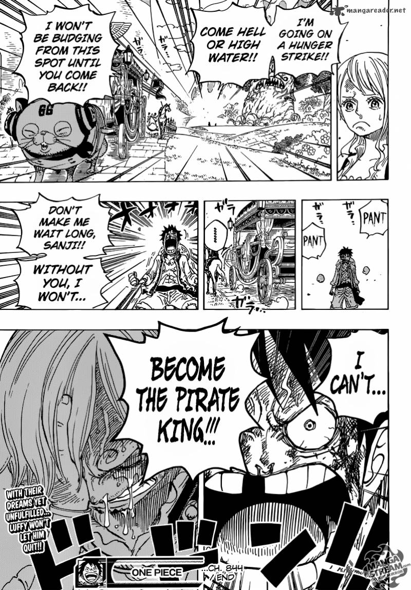 One Piece Chapter 844 — page 19