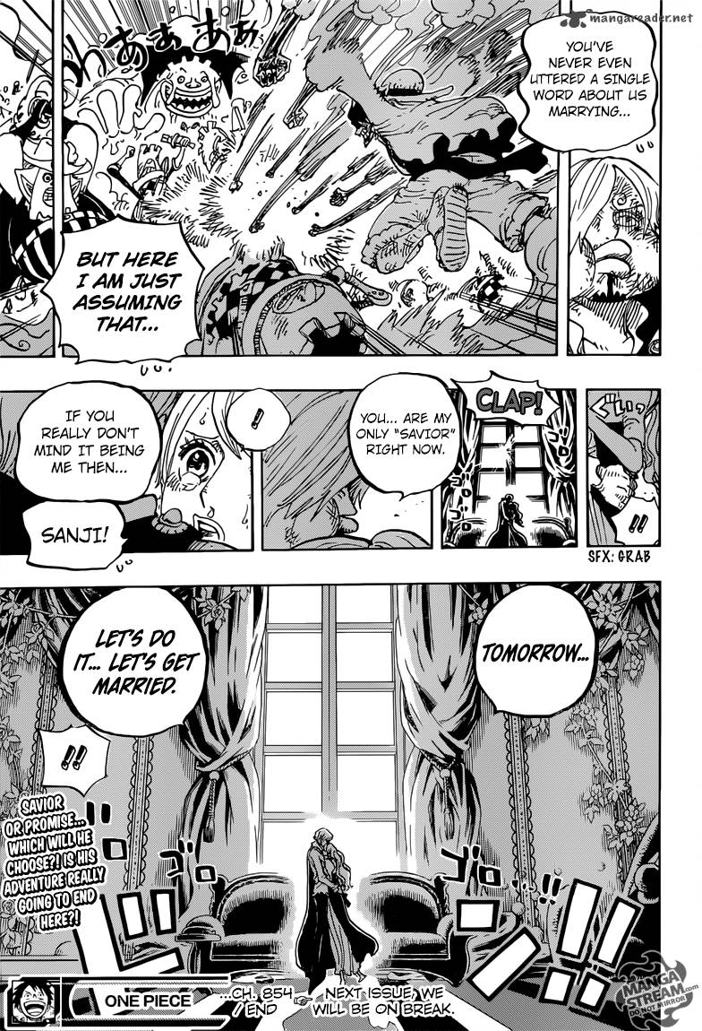 One Piece Chapter 845 — page 17