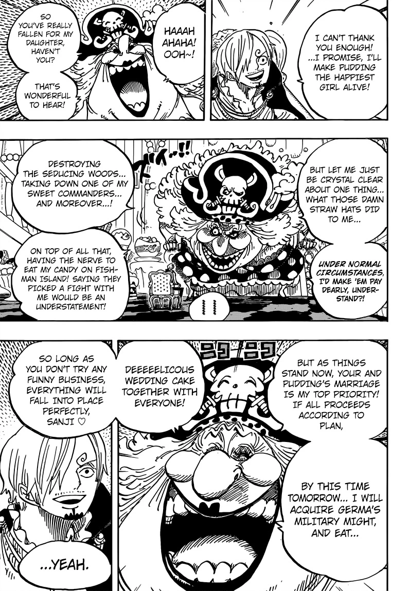 One Piece Chapter 846 — page 13