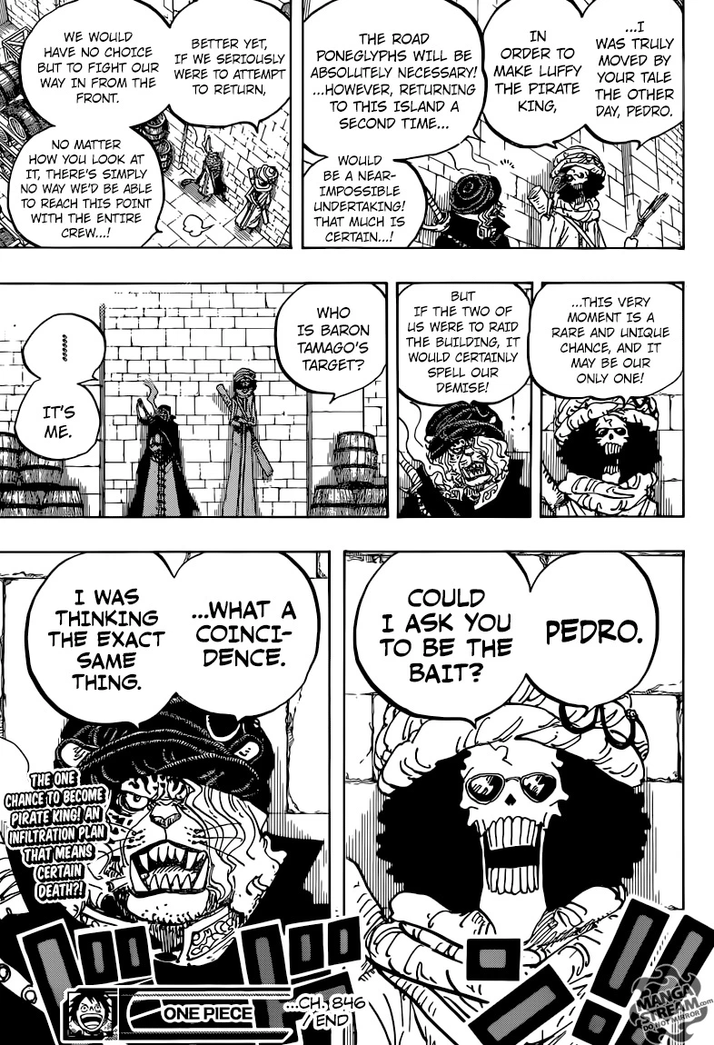One Piece Chapter 846 — page 18