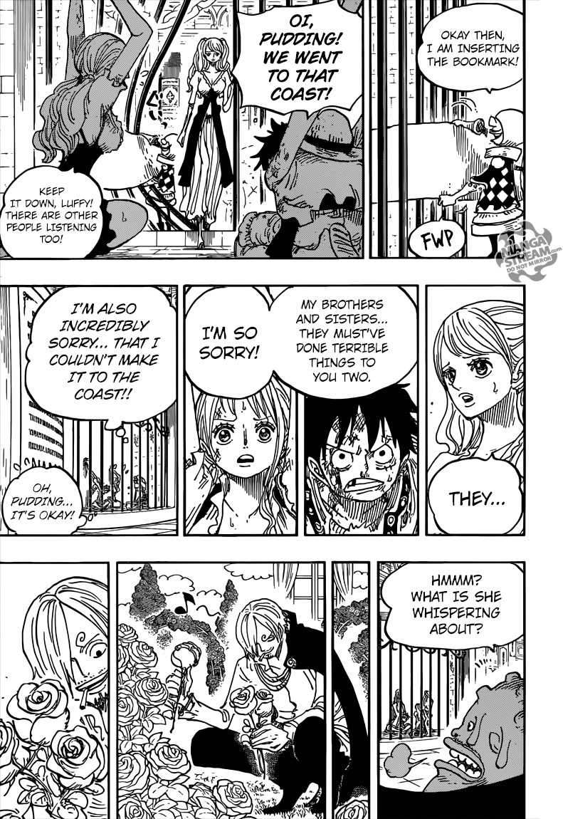 One Piece Chapter 848 — page 16