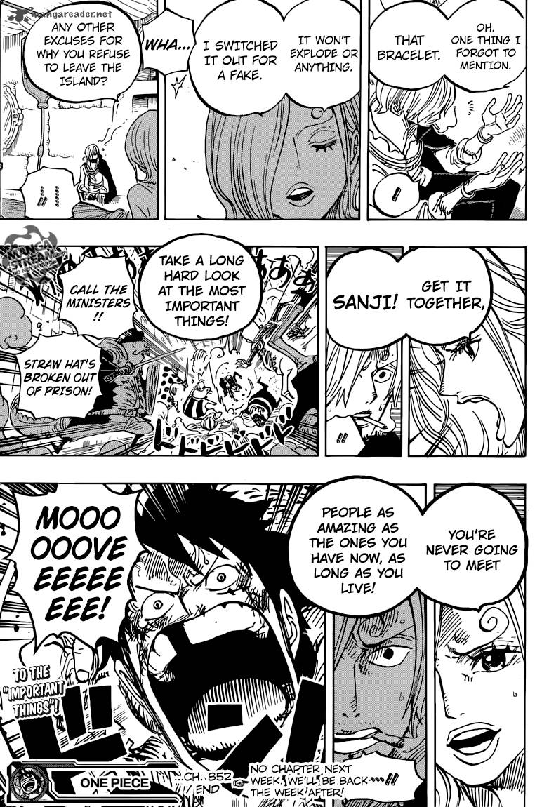 One Piece Chapter 852 — page 17