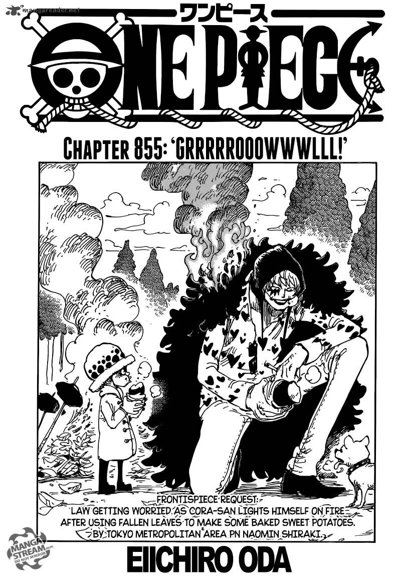 One Piece Chapter 855 — page 1