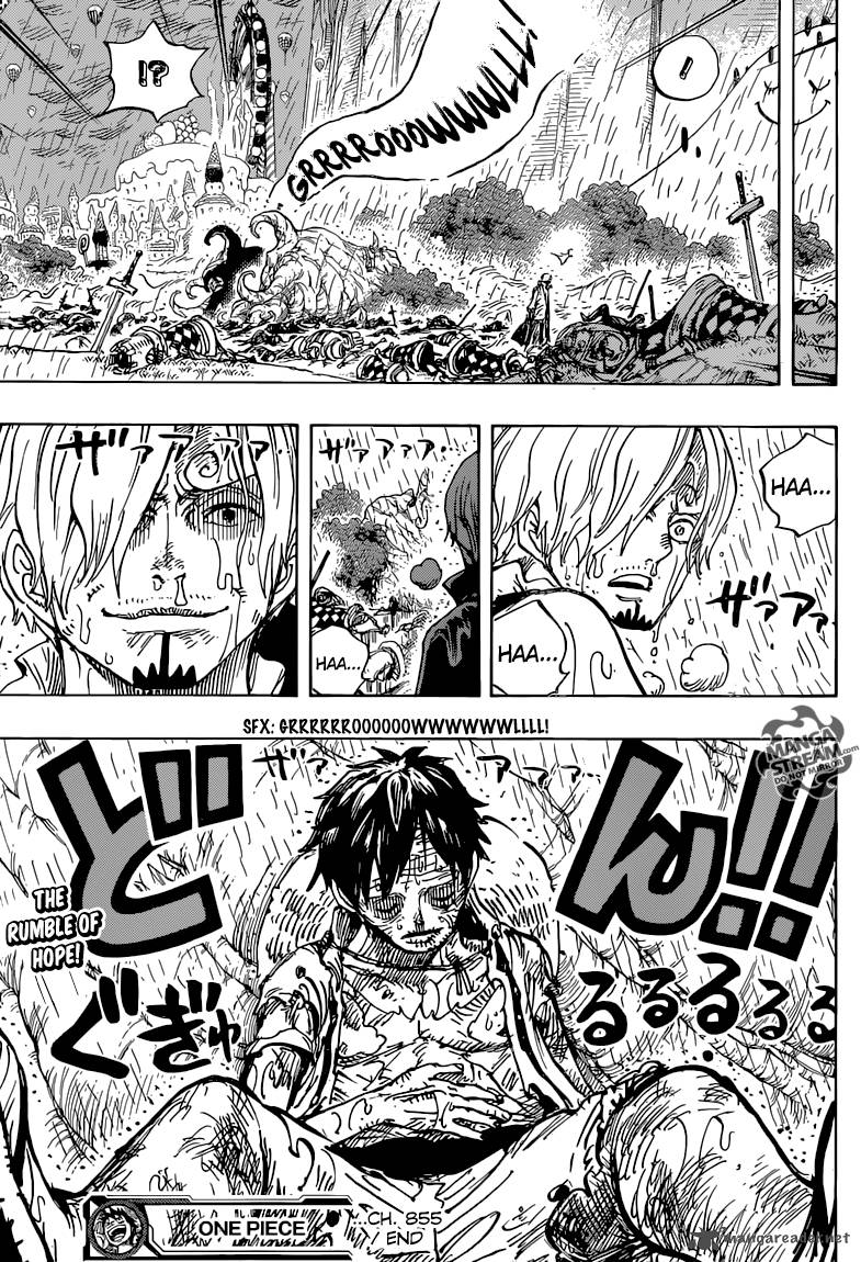 One Piece Chapter 855 — page 16
