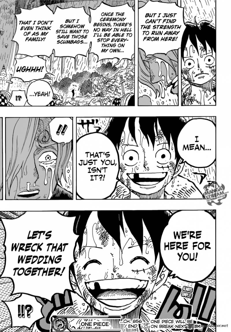 One Piece Chapter 856 — page 17