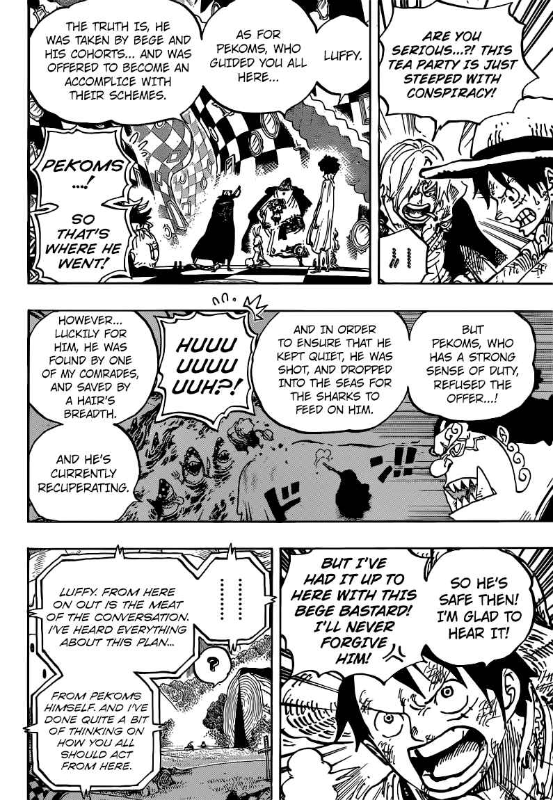 One Piece Chapter 857 — page 14