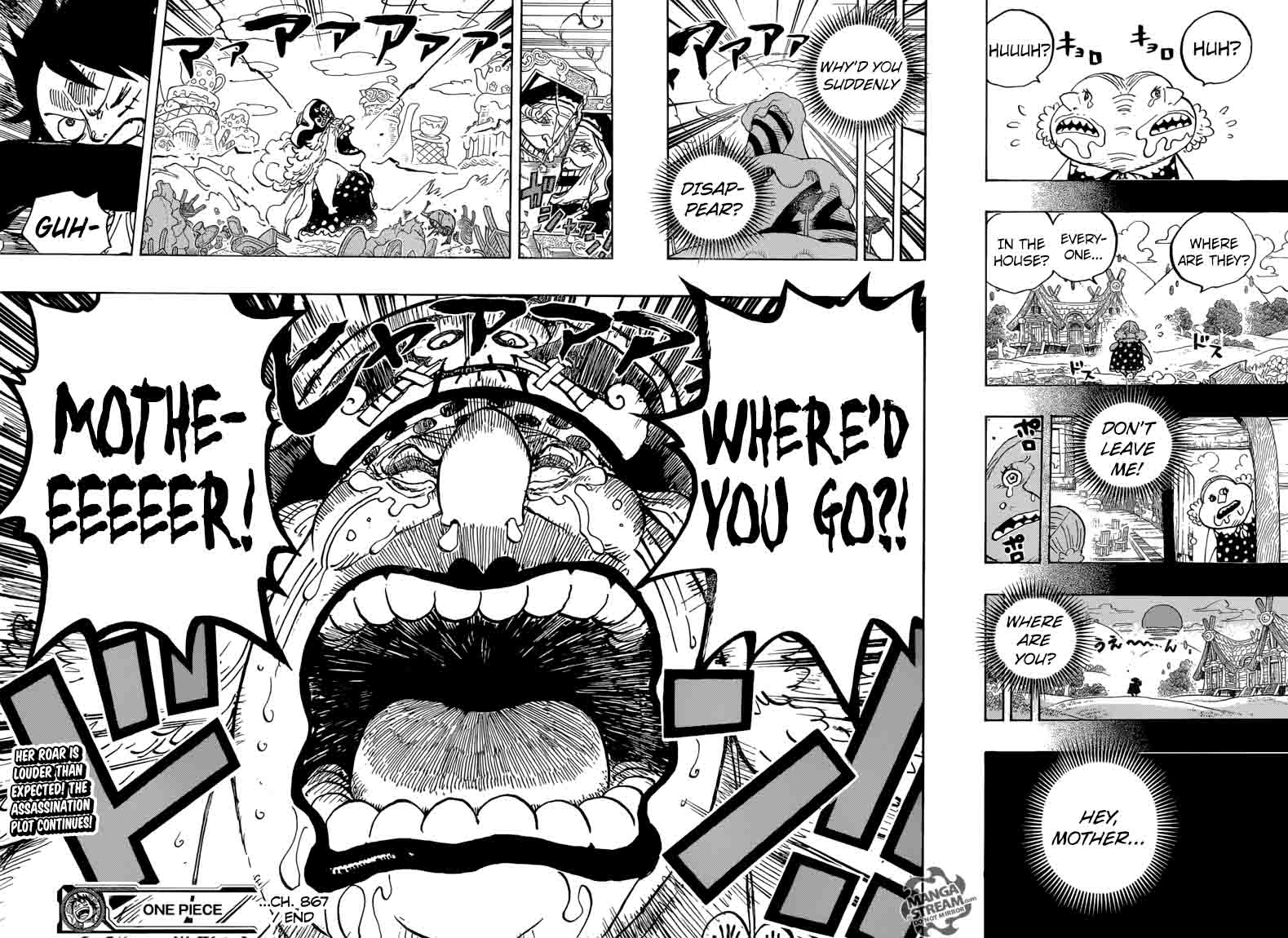 One Piece Chapter 867 — page 14