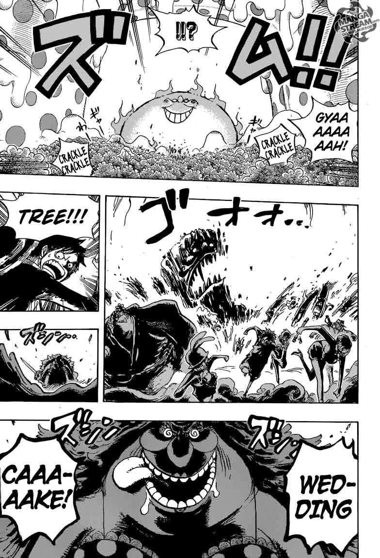 One Piece Chapter 874 — page 13