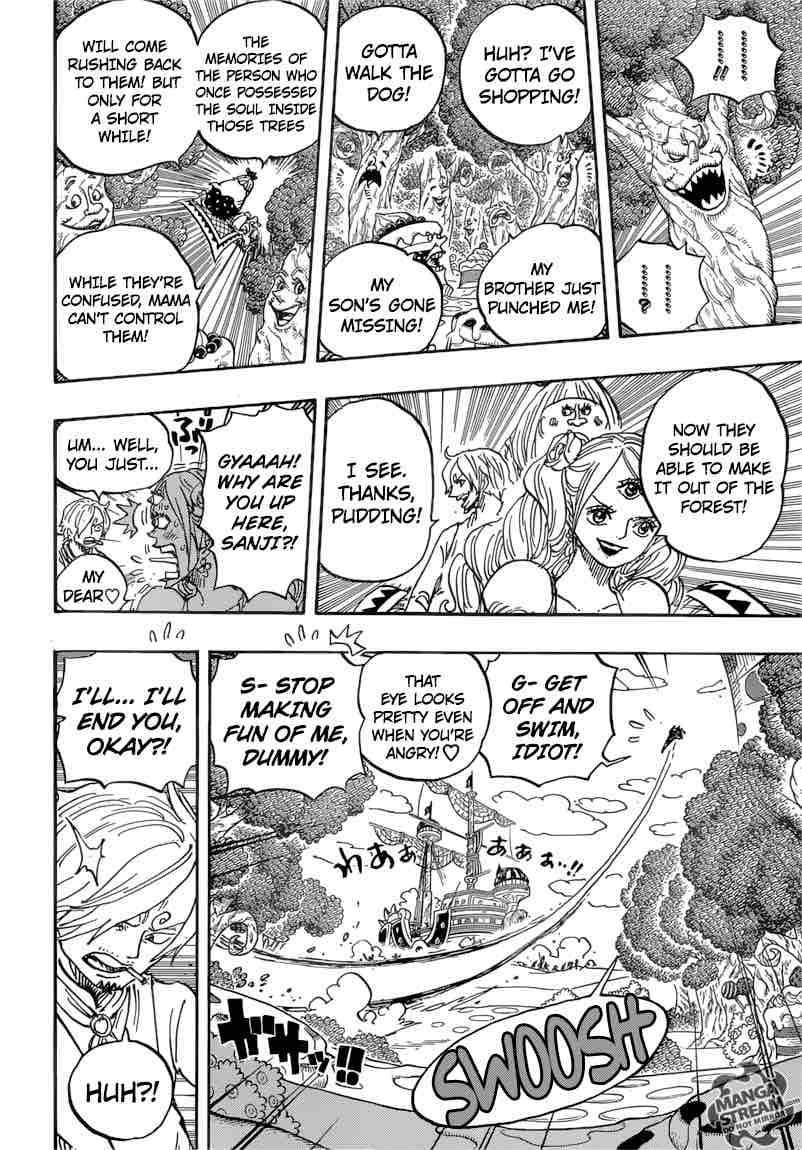 One Piece Chapter 876 — page 13