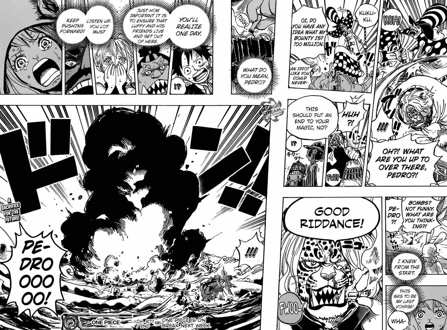 One Piece Chapter 877 — page 15