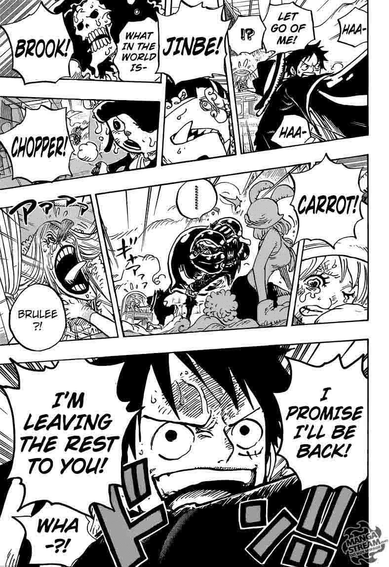 One Piece Chapter 878 — page 15