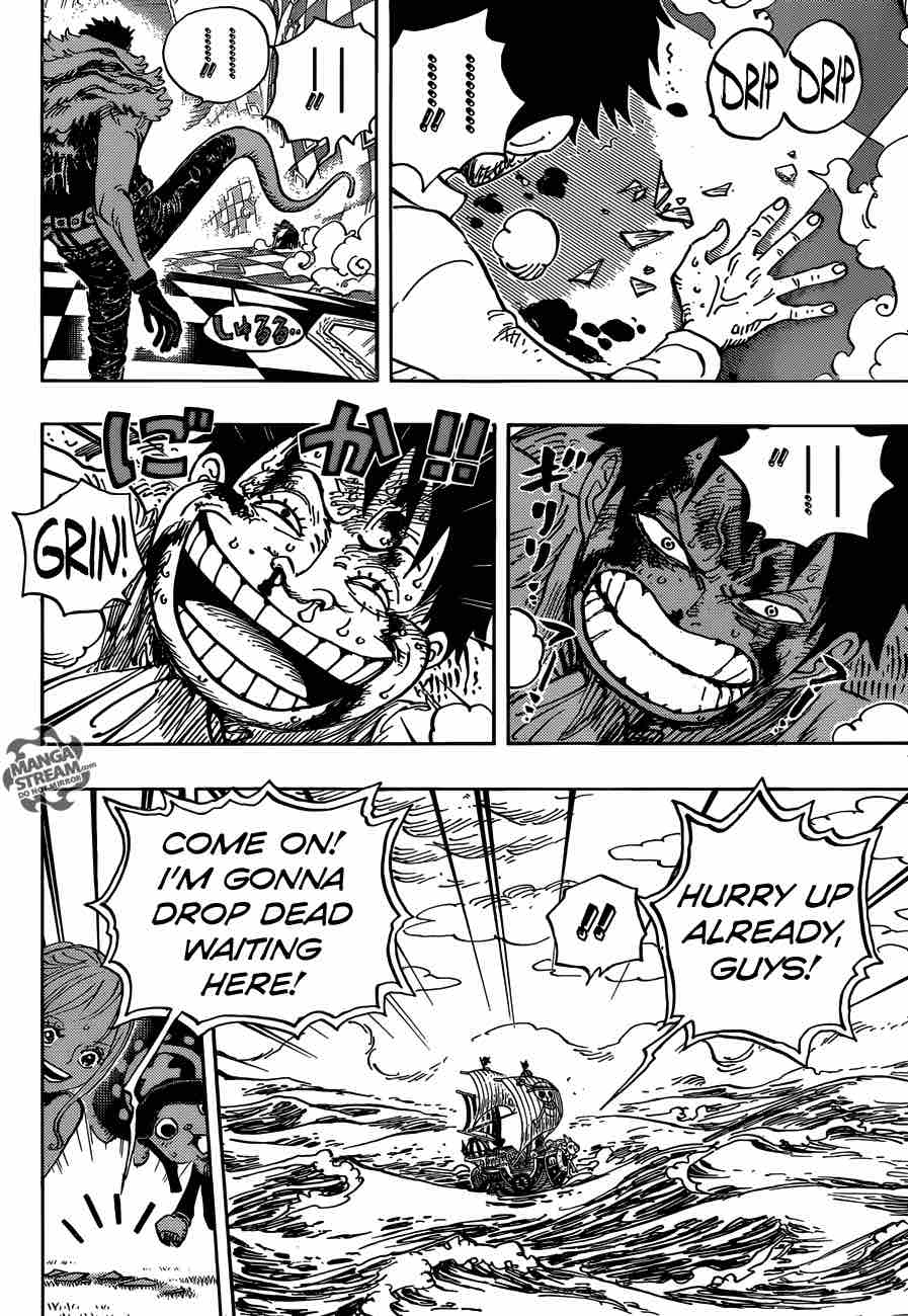 One Piece Chapter 881 — page 15