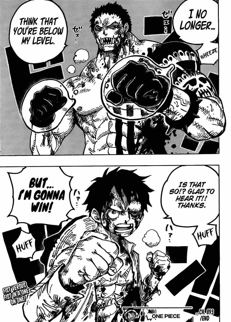 One Piece Chapter 893 — page 17