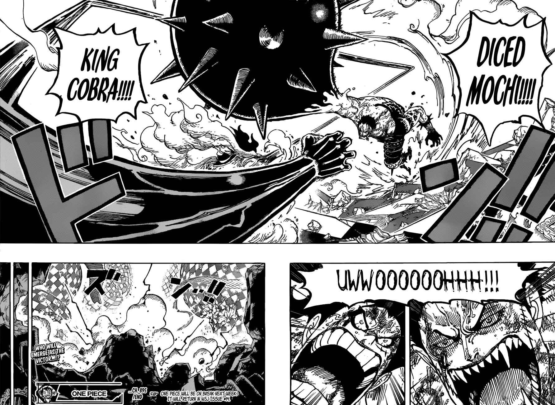One Piece Chapter 895 — page 15