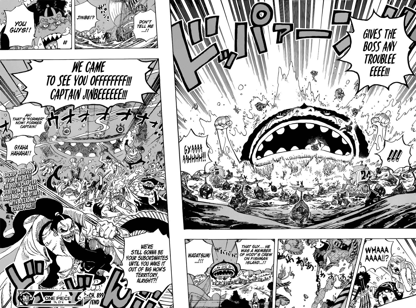 One Piece Chapter 899 — page 16