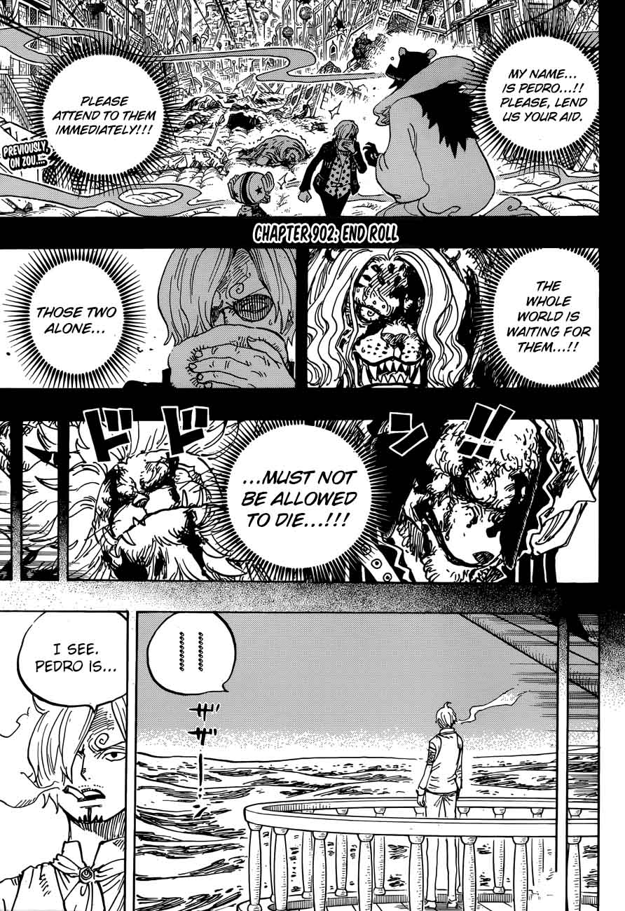 One Piece Chapter 902 — page 3