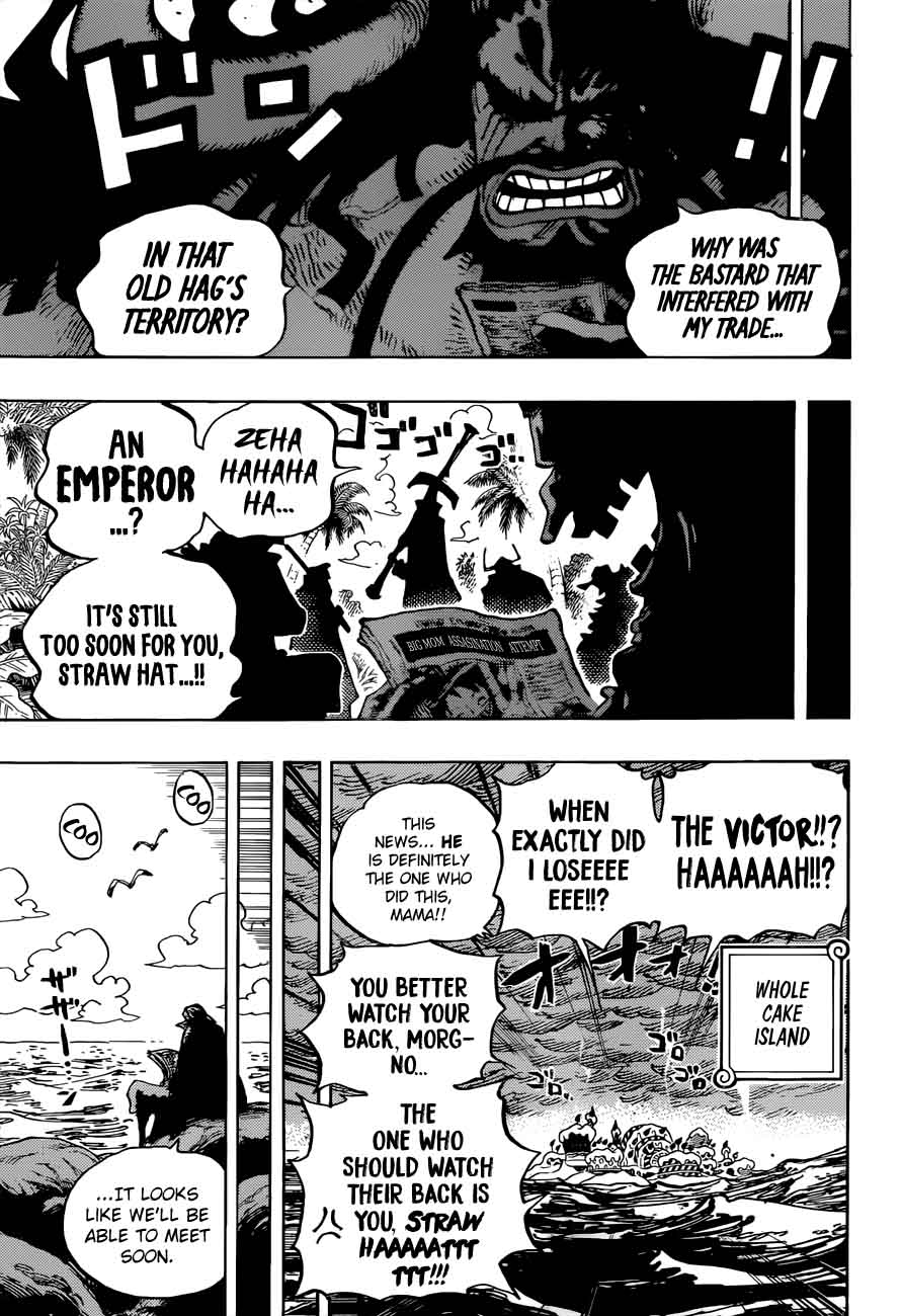 One Piece Chapter 903 — page 16
