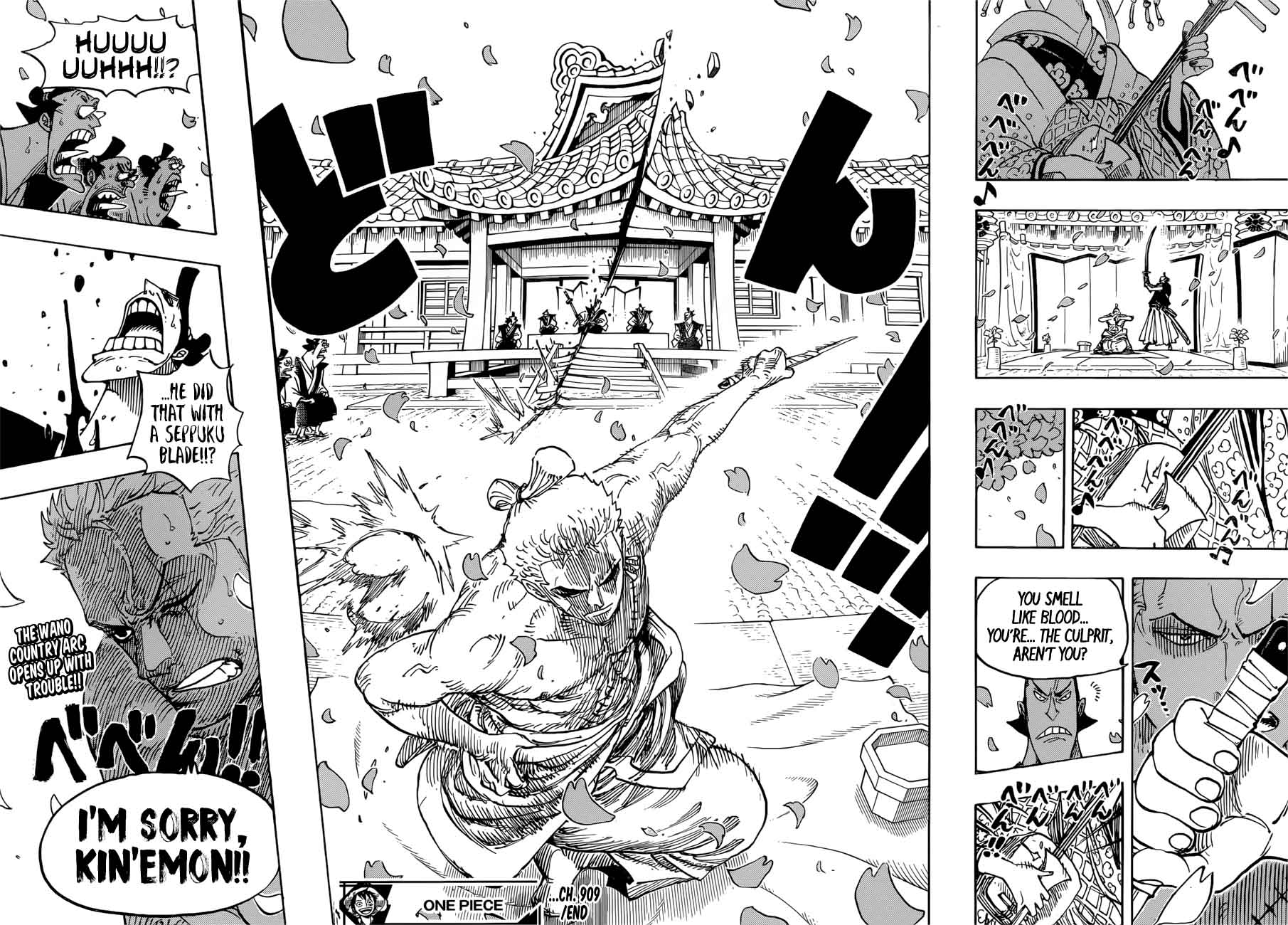 One Piece Chapter 909 — page 15