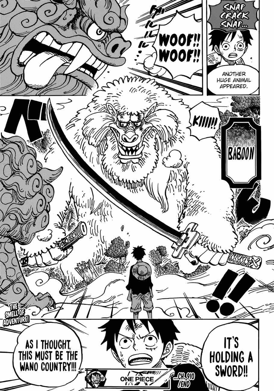 One Piece Chapter 910 — page 12
