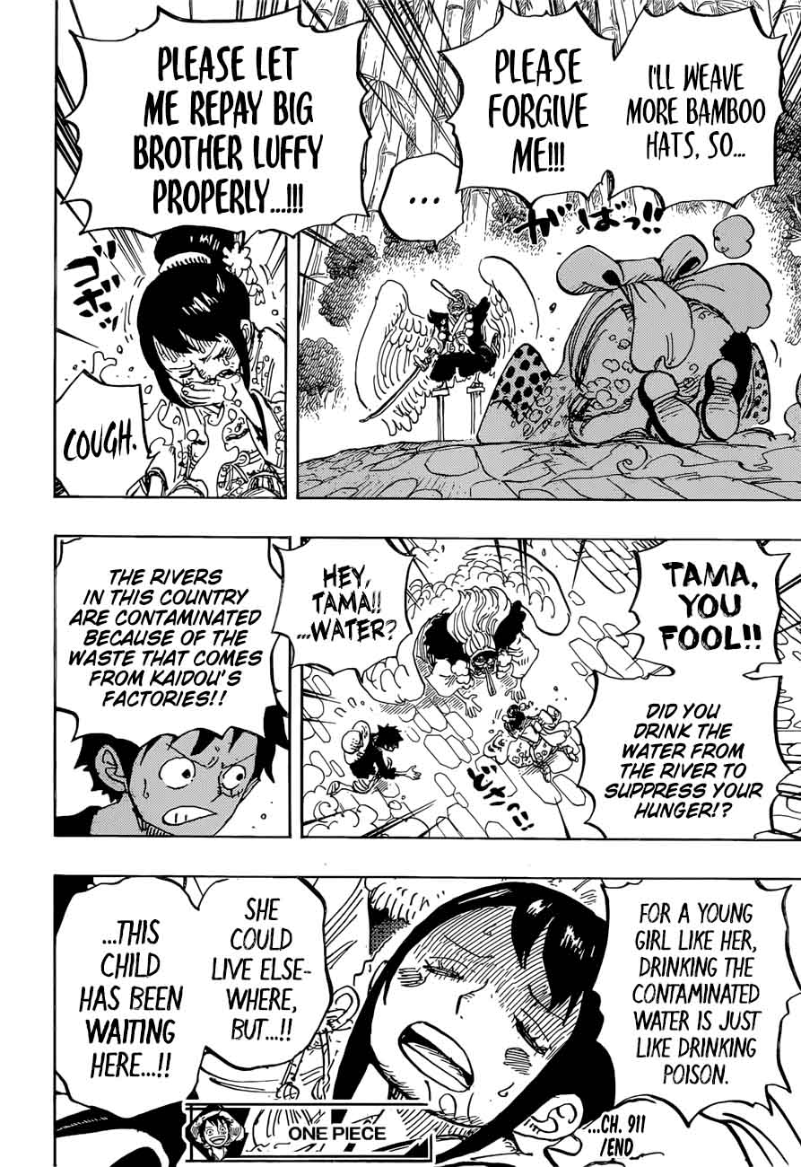 One Piece Chapter 911 — page 16