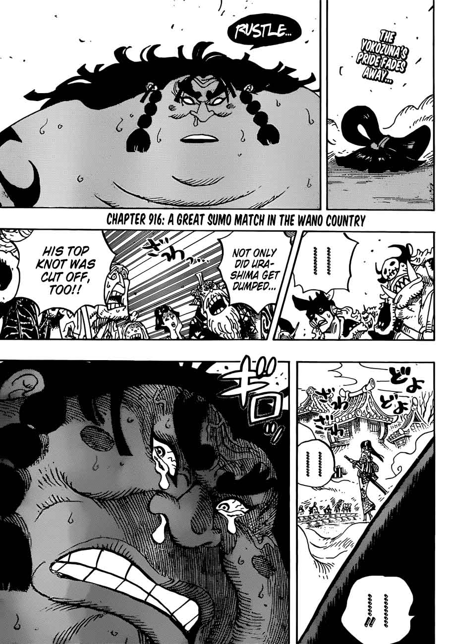 One Piece Chapter 916 — page 3