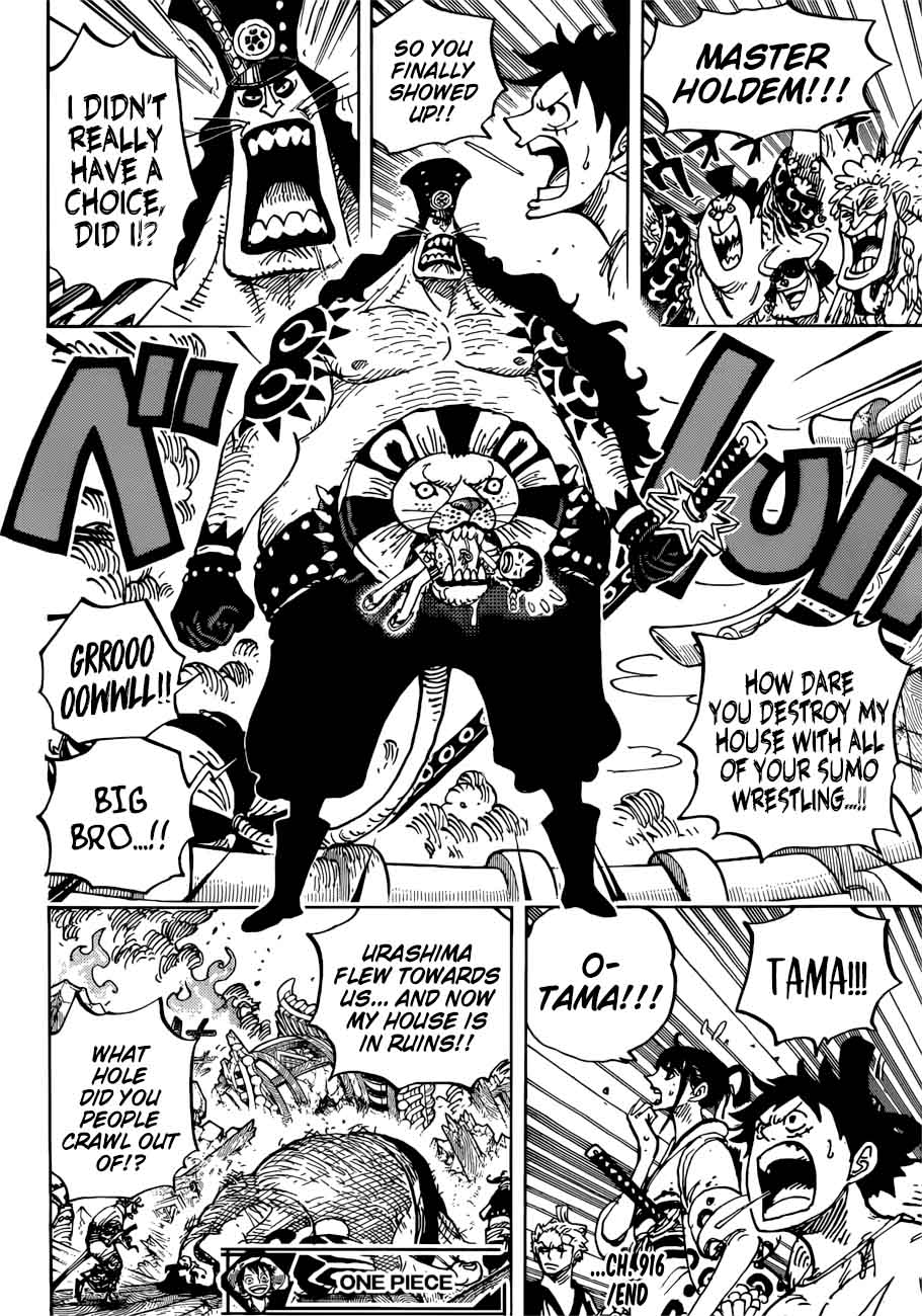 One Piece Chapter 916 — page 17