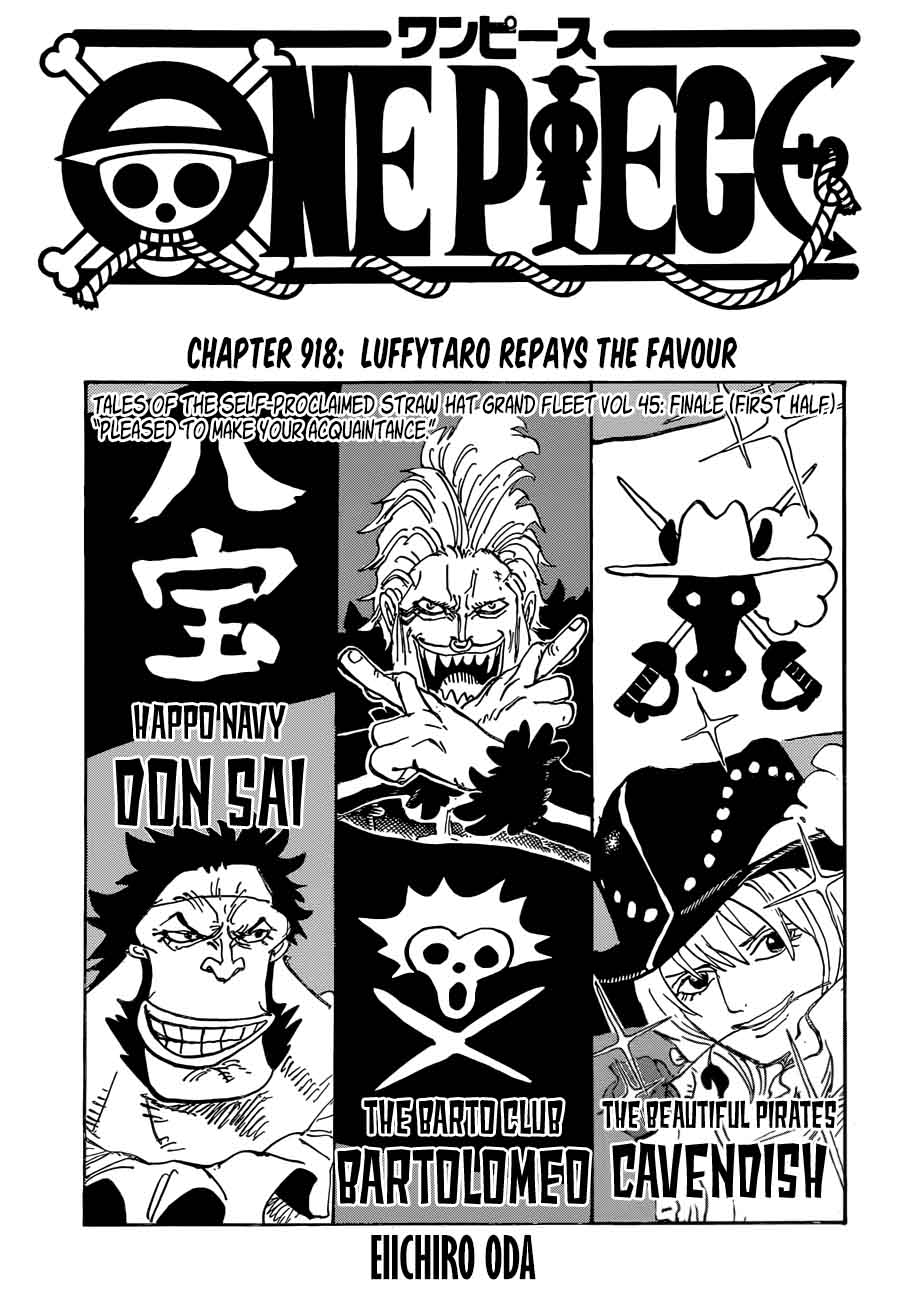 One Piece Chapter 918 — page 1