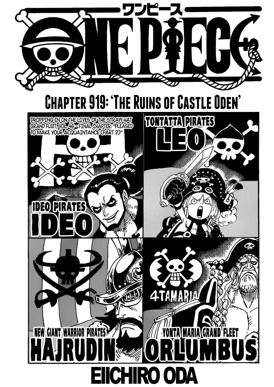 One Piece Chapter 919 — page 1