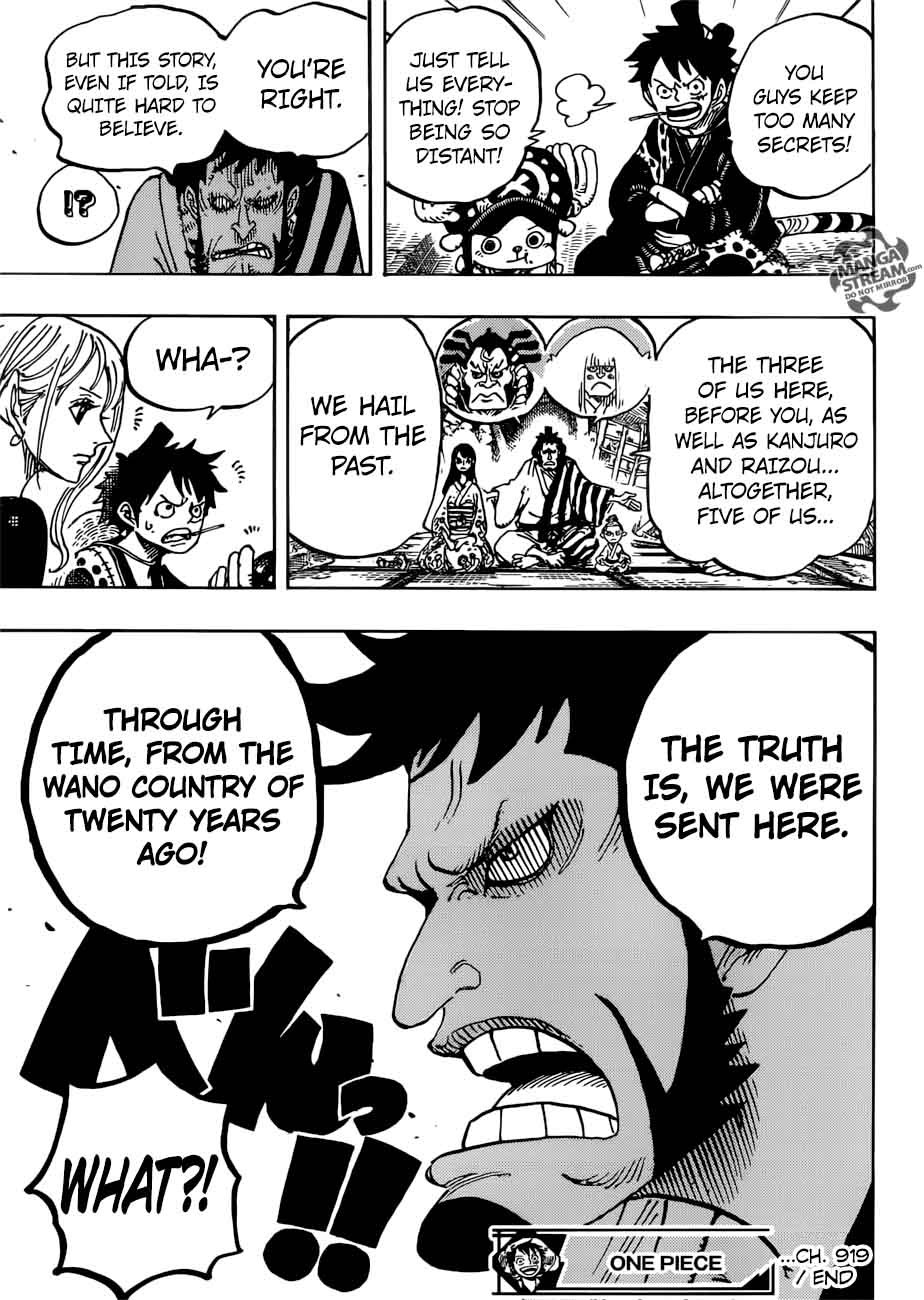 One Piece Chapter 919 — page 15