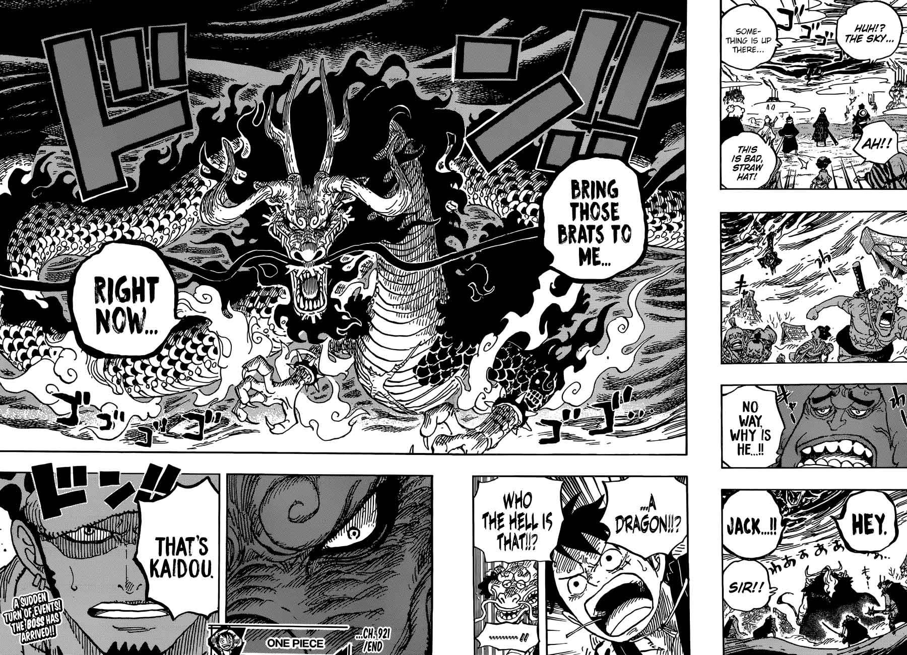 One Piece Chapter 921 — page 17