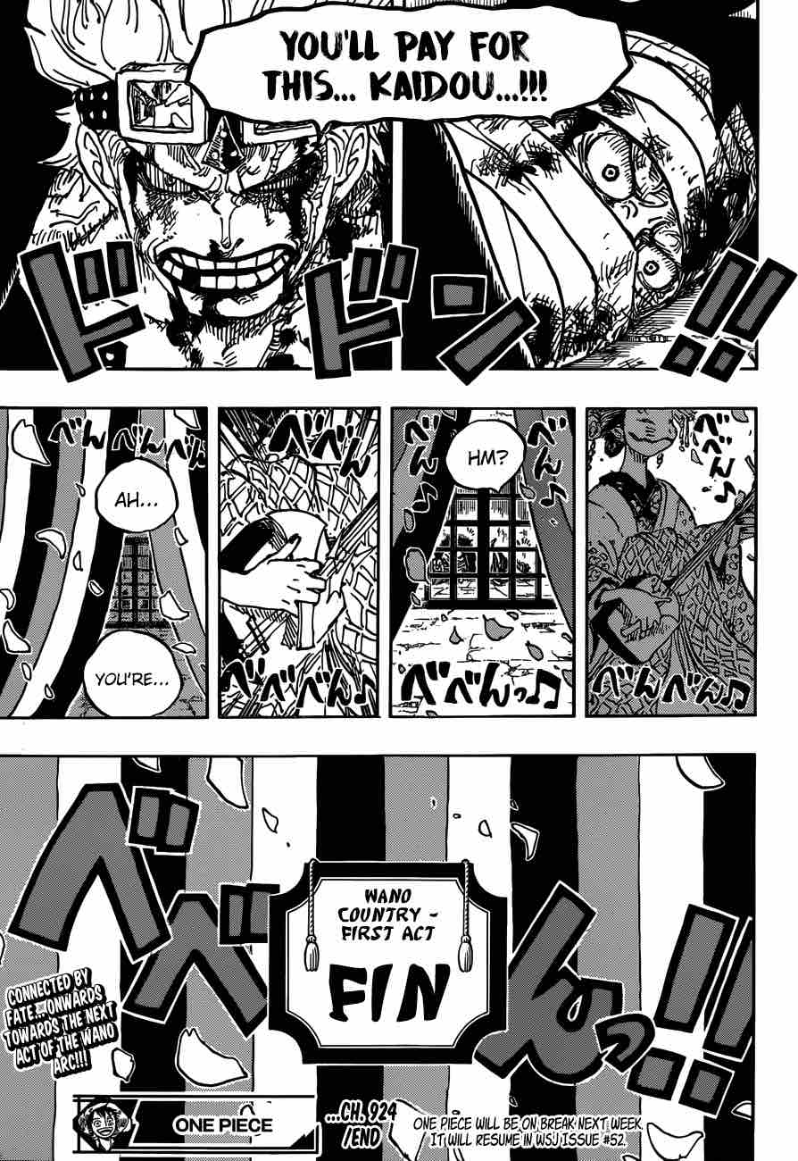 One Piece Chapter 924 — page 15