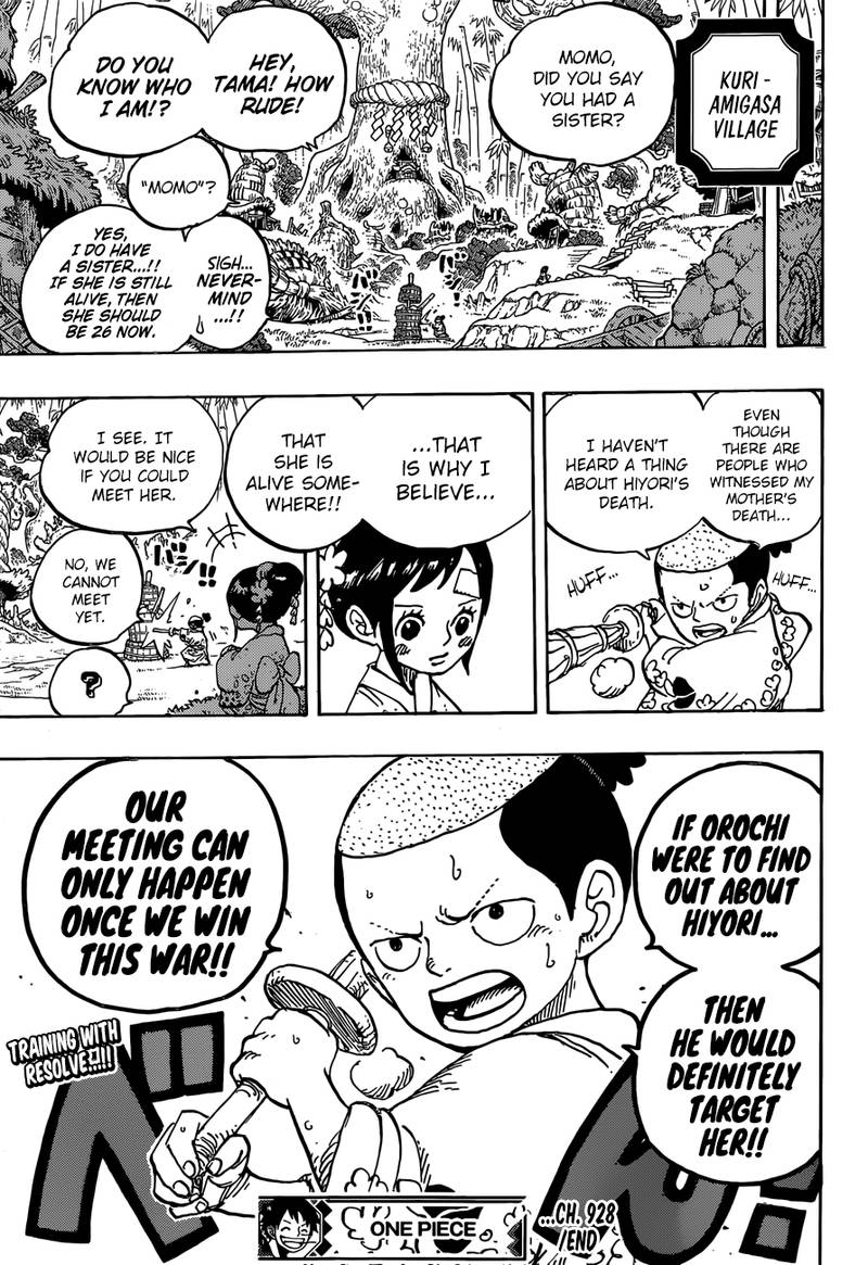 One Piece Chapter 928 — page 18