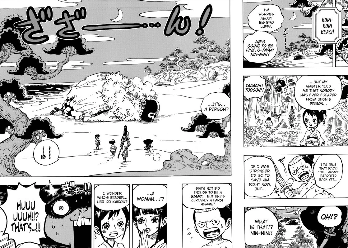 One Piece Chapter 931 — page 13
