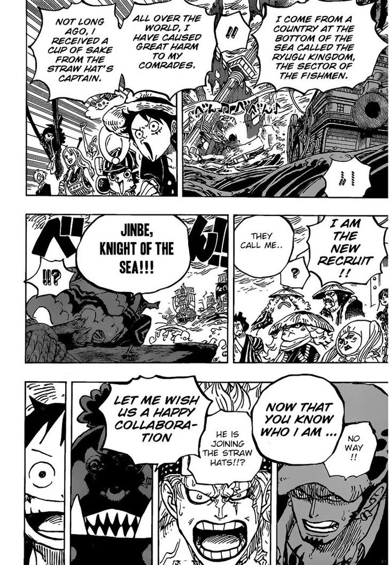 One Piece Chapter 976 — page 17