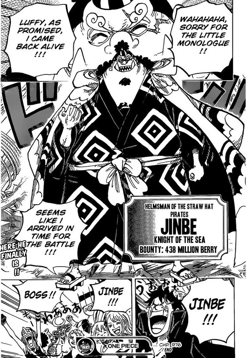 One Piece Chapter 976 — page 18