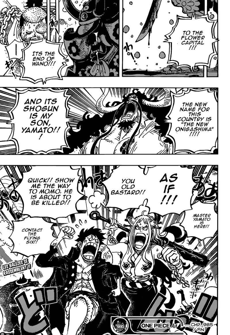 One Piece Chapter 985 — page 17