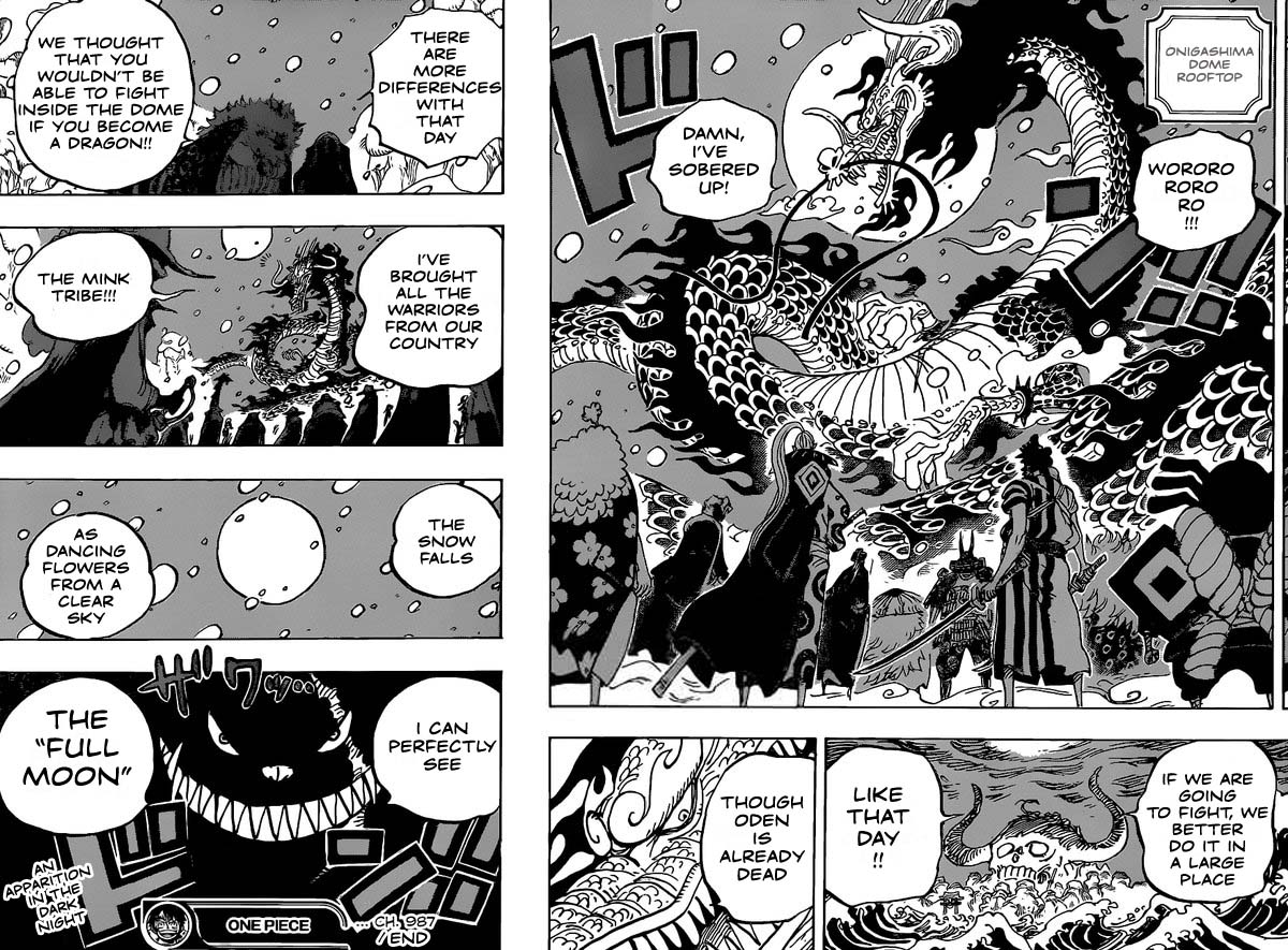 One Piece Chapter 987 — page 14