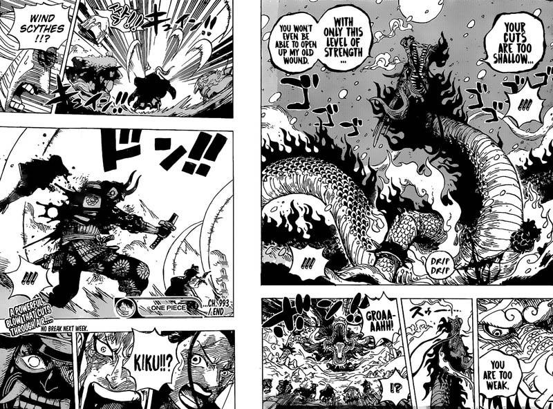One Piece Chapter 993 — page 15